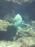 水族館