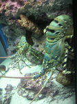 水族館