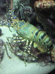 水族館