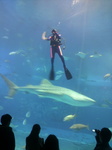 水族館