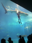 水族館